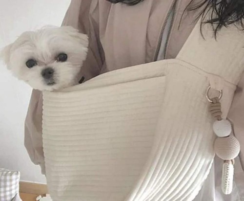 Pet backpack cat - pet, shoulder