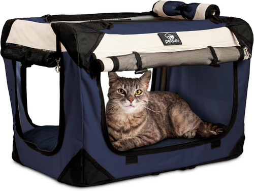 Cat dog pet - cat,