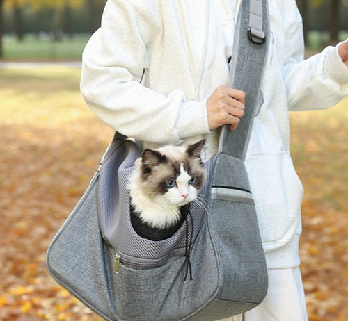 Pet bag cat - pet, outdoor